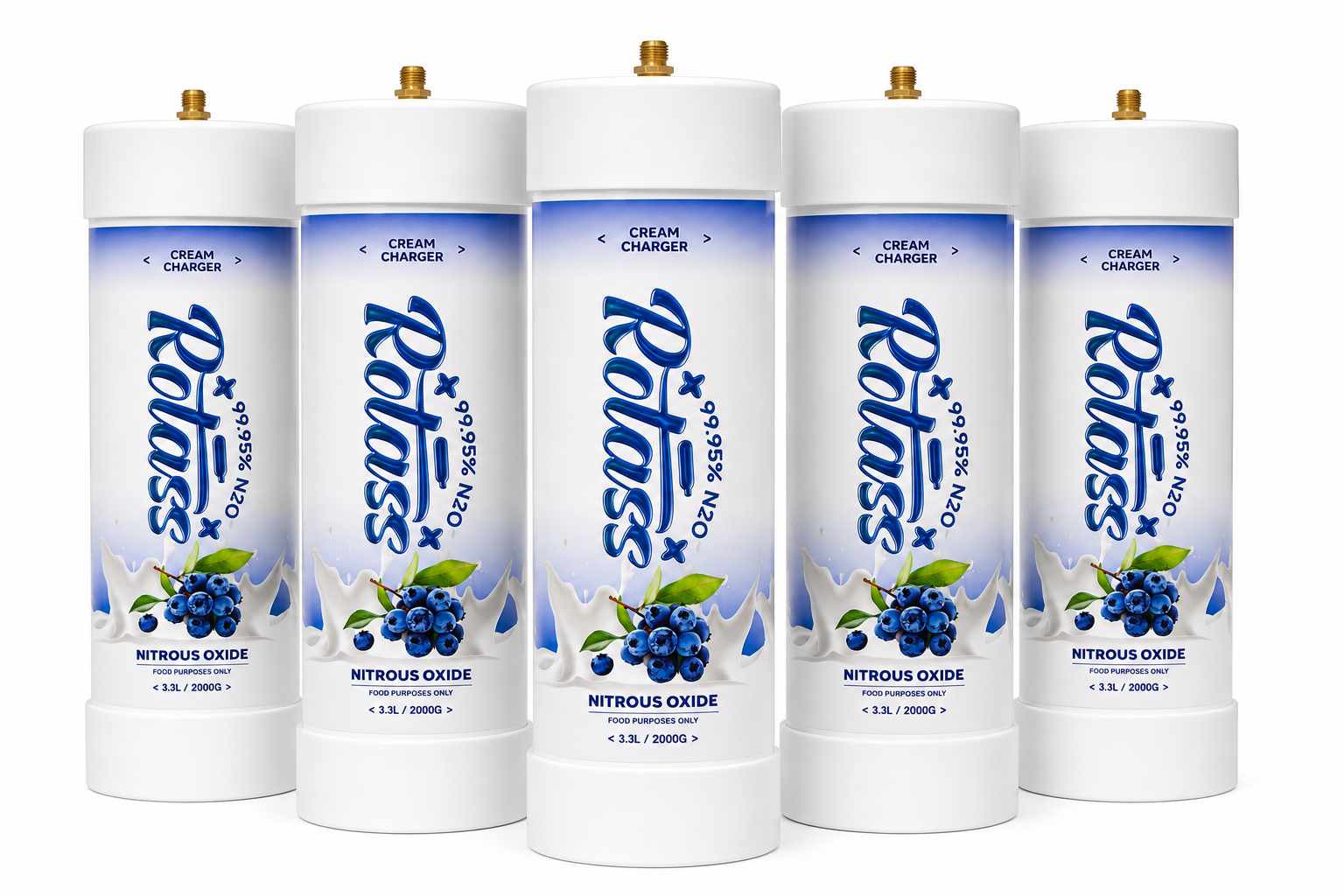 Rottas 3.3L Blueberry Cream Charger x 5 Bulk Buy